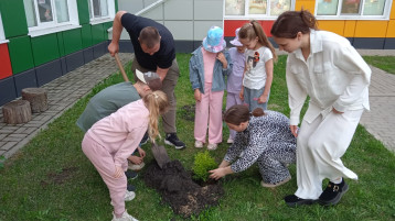 Аллея выпускников Аллея выпускников.